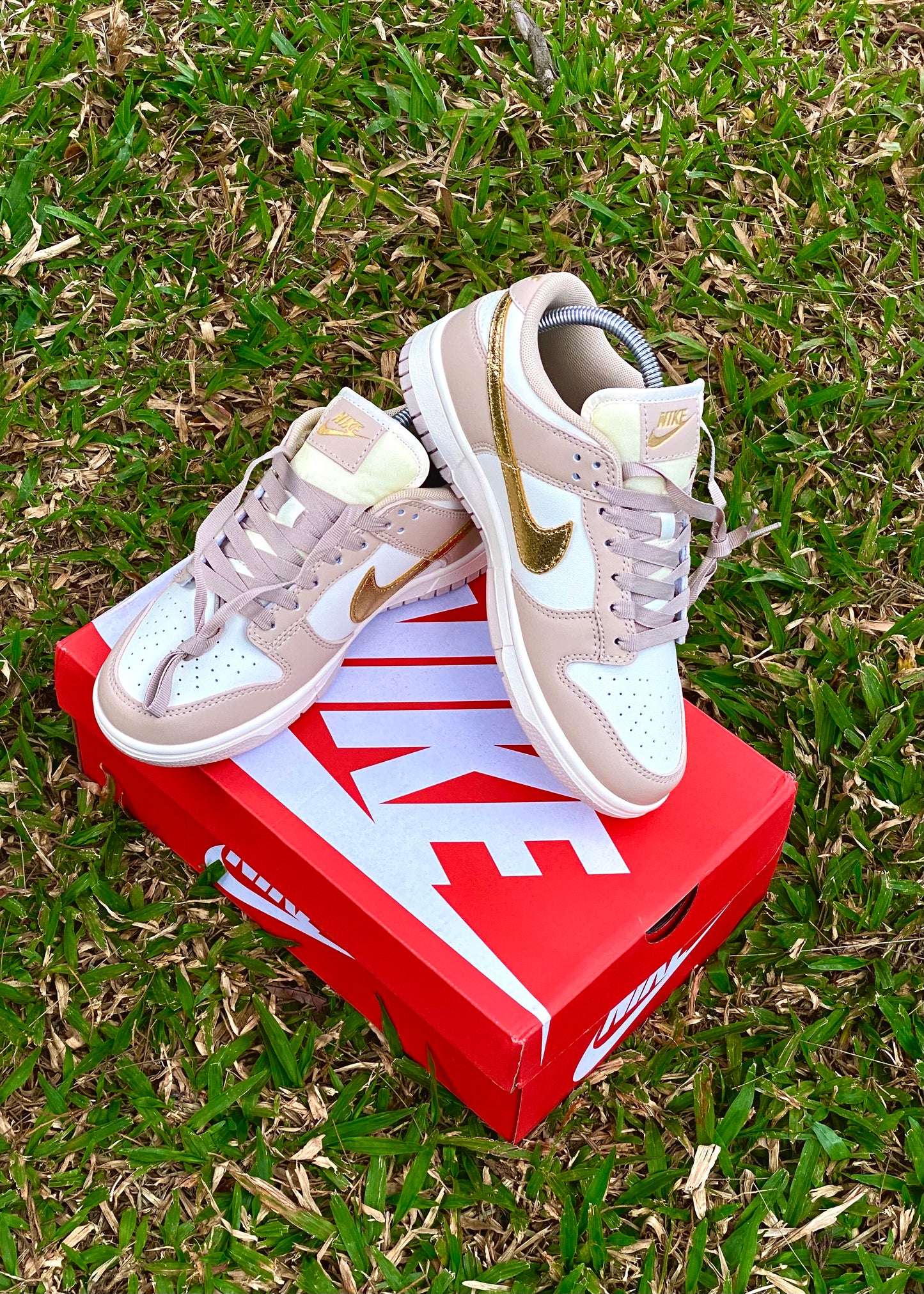 Nike Dunk Golden Swoosh