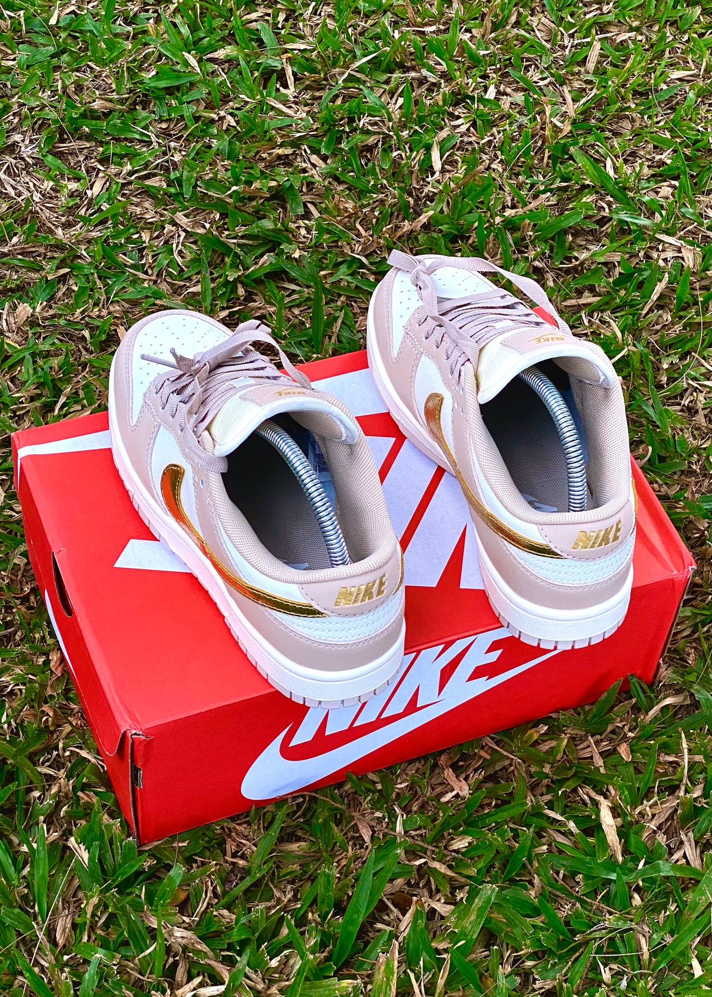 Nike Dunk Golden Swoosh