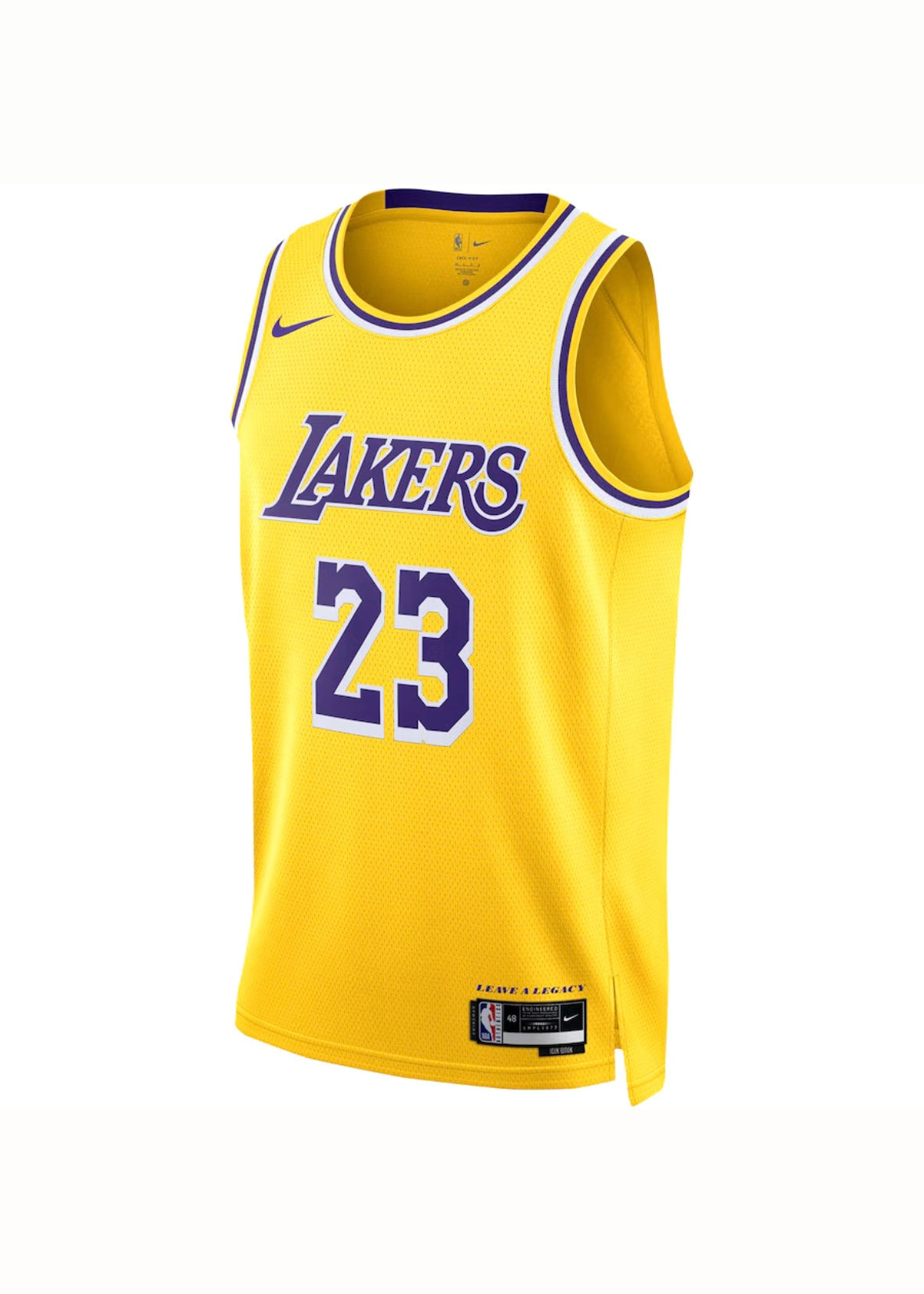 Unisex Los Angeles Lakers LeBron James Nike Gold Swingman Jersey