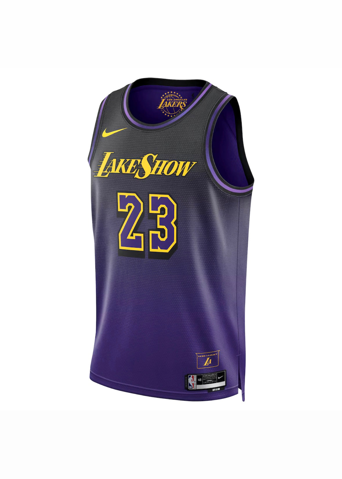 Unisex Los Angeles Lakers LeBron James Nike Purple 2024/25